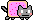 nyancat_neutral_surprised-001.png
